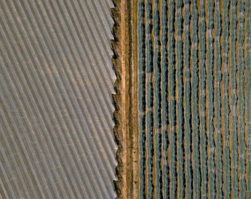 an aerial view of a farm field with rows of crops