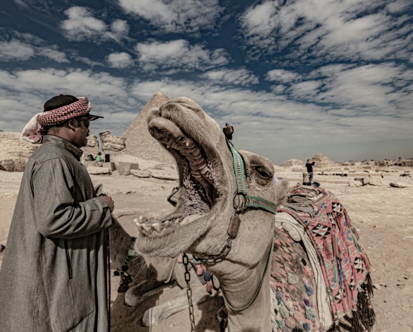 a man standing next to a camel in the desert