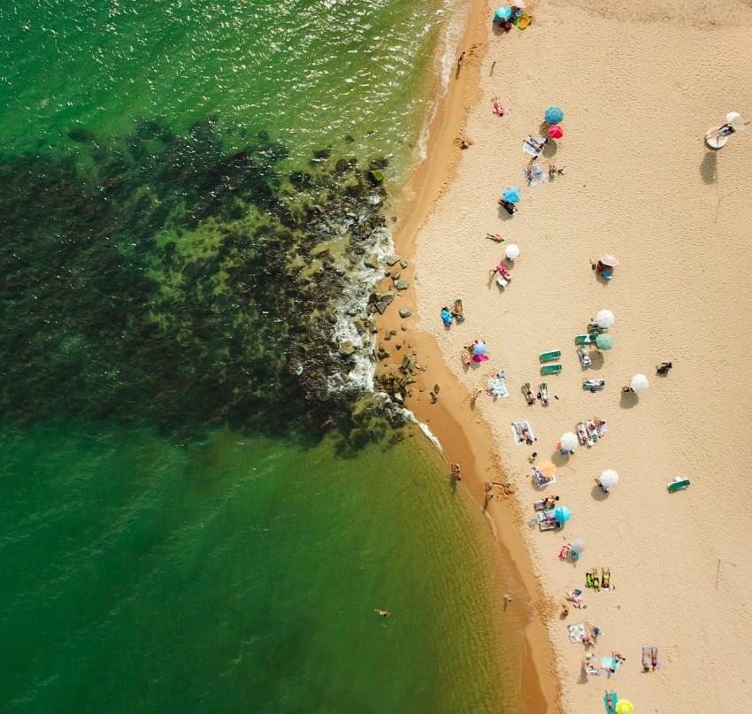 people on beach aerial photography