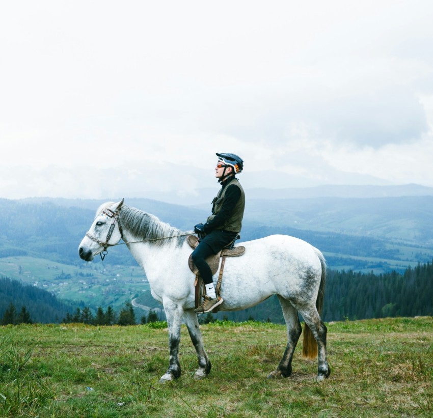 a man riding on the back of a white horse