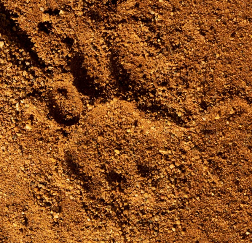 brown sand with brown soil