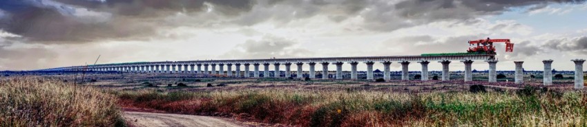 panorama photo of bridge