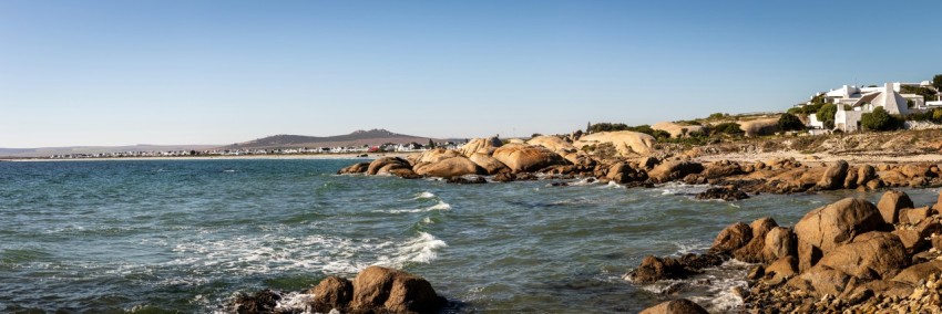 a bird is standing on the rocks near the water