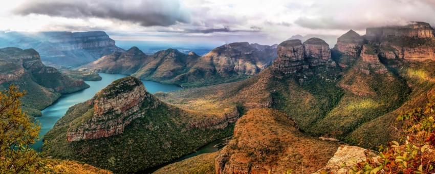 mountain cover with trees near the ocean