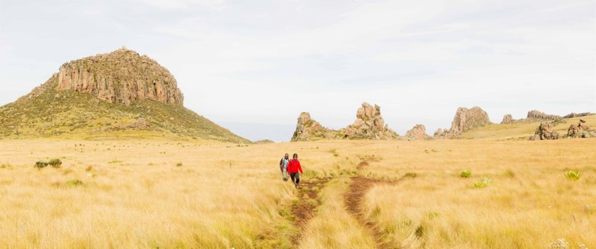 a group of people walking on a dirt path in a grassy field