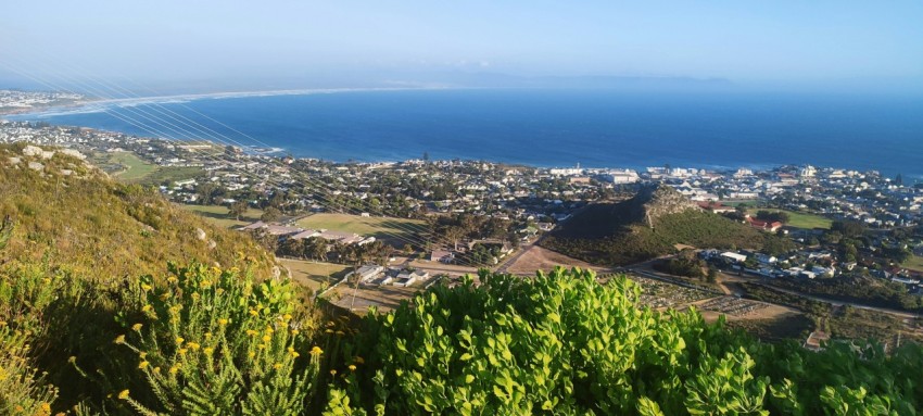 a view of a city and the ocean from a hill