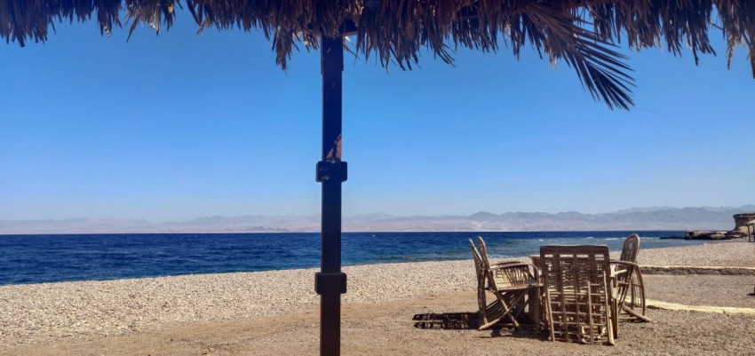 chairs under a palm tree on a beach