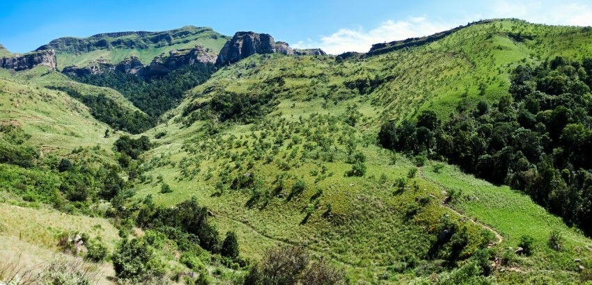 a lush green valley with mountains in the background