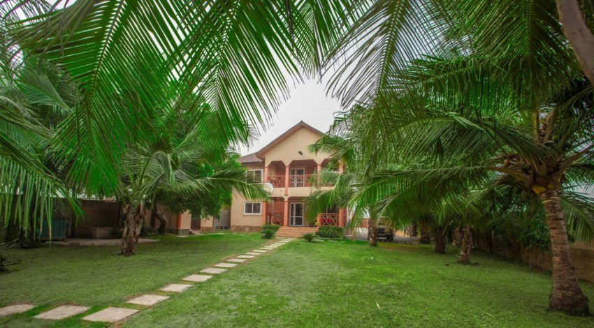 green palm tree near brown concrete house