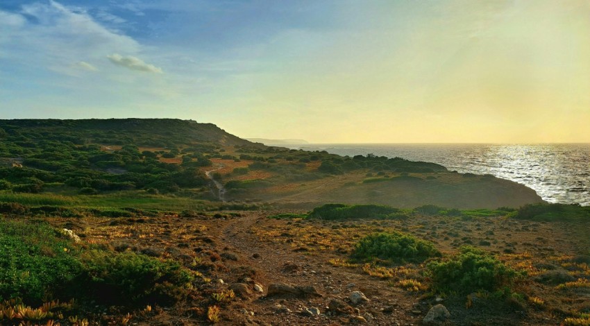 a dirt path leading to the ocean on a sunny day