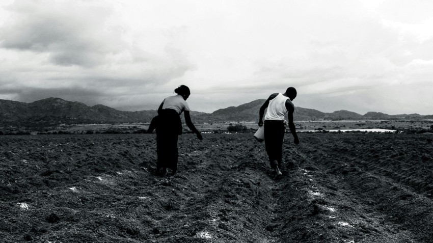 man and woman plating seeds