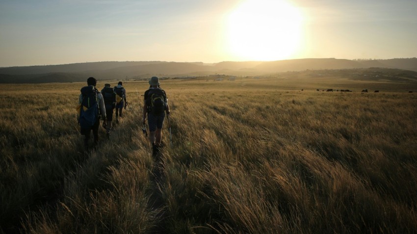 group of people walking on grass field during golden hour