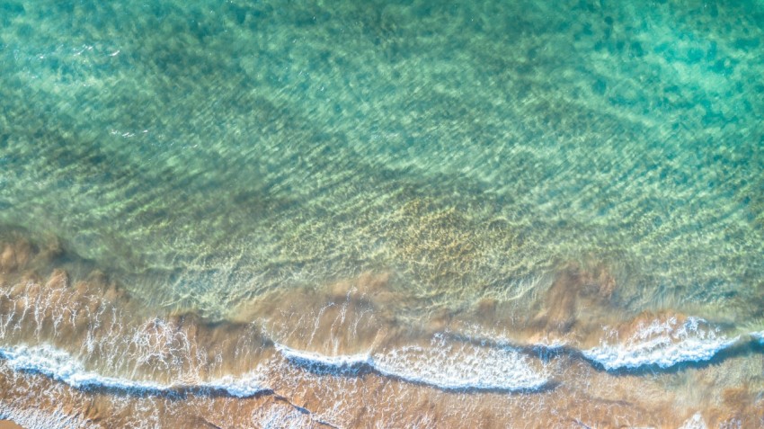 aerial photo of brown sand beach with green waters