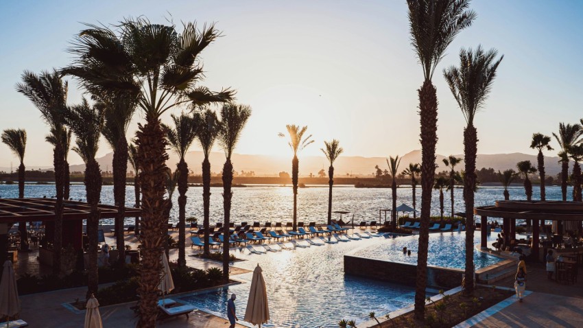 a pool surrounded by palm trees next to the ocean