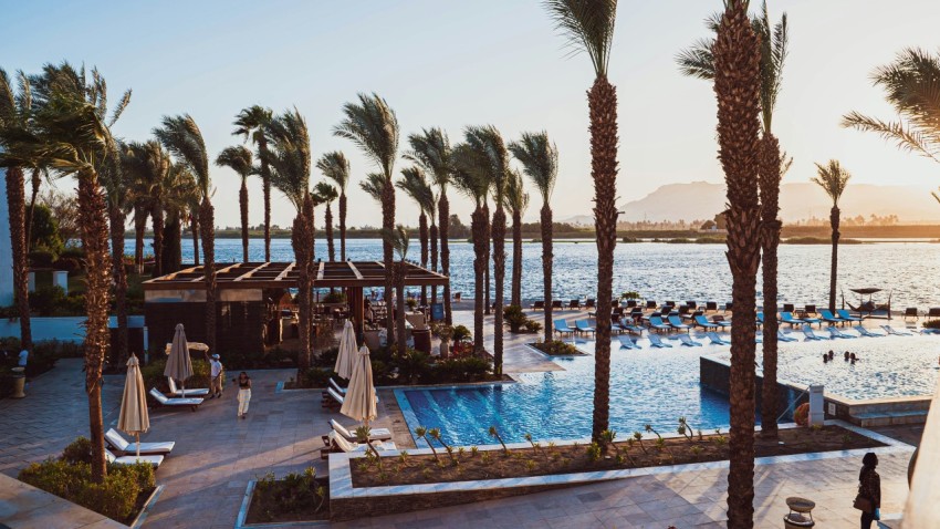 a large swimming pool surrounded by palm trees