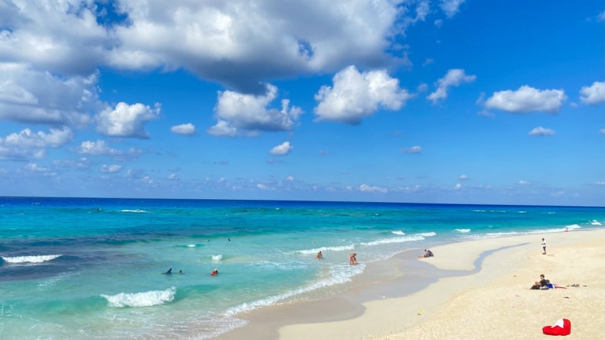 a group of people on a beach near the ocean