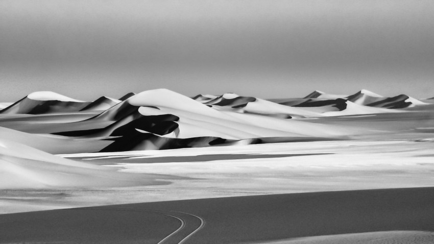 grayscale photo of a desert