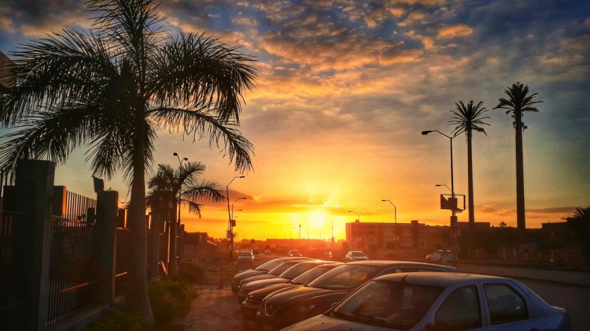 cars parked on side of the road during sunset