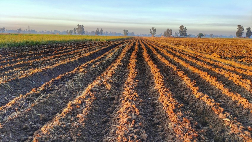 a plowed field in the middle of a rural area