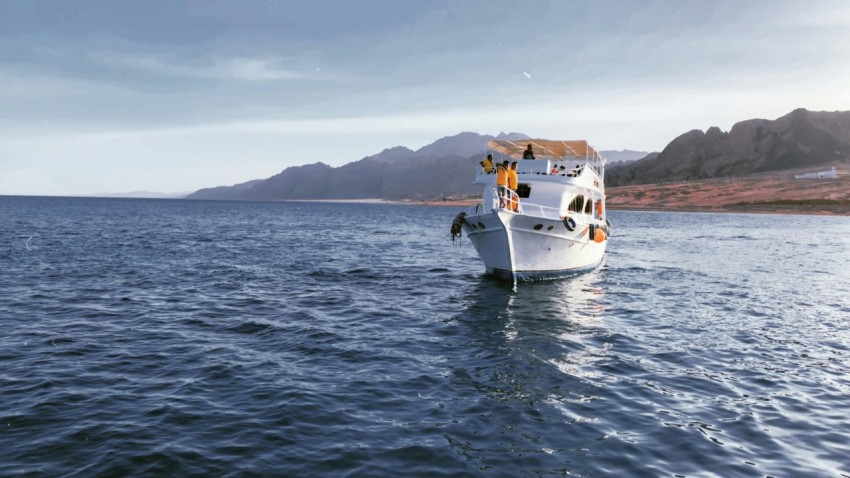 white boat on sea during daytime