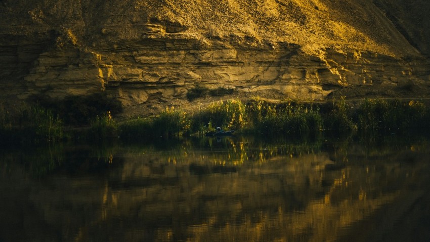 a bird is sitting on the edge of a body of water