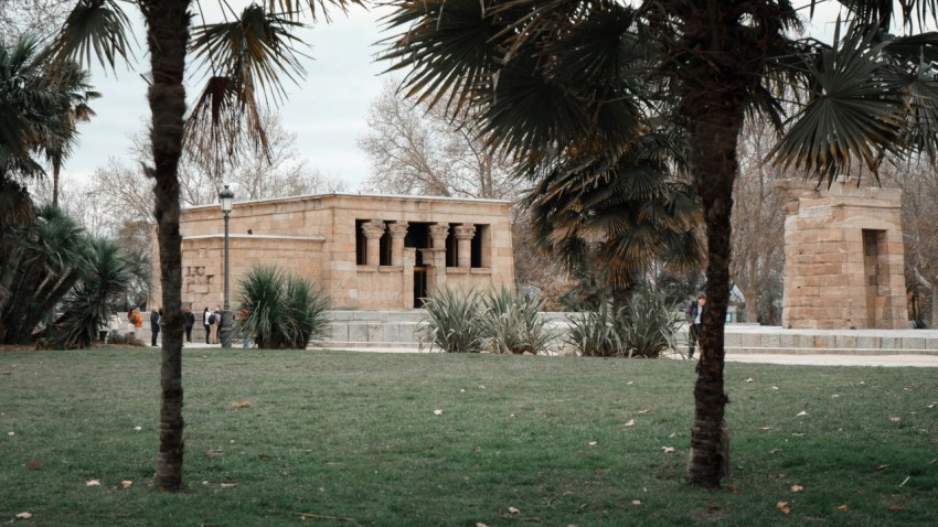 a building with palm trees and grass