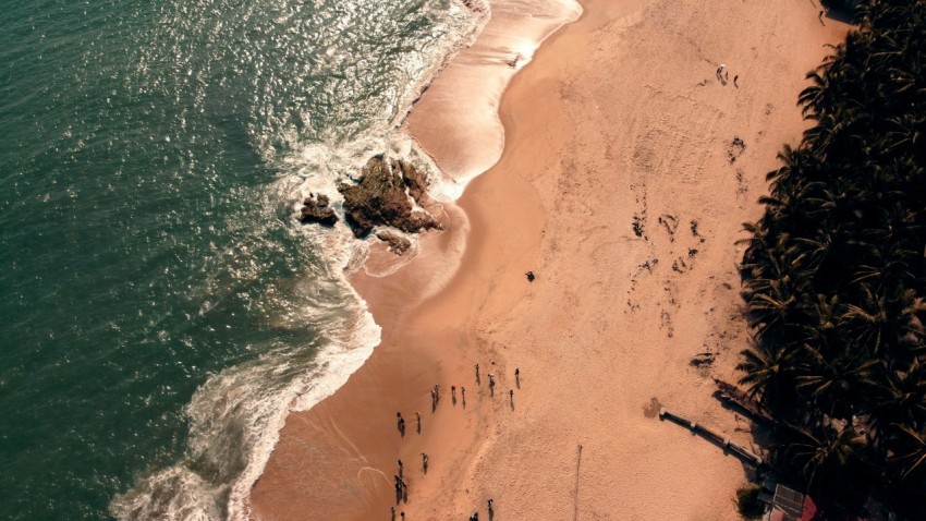 aerial view of people on beach during daytime