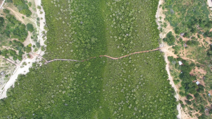 an aerial view of a grassy area with trees