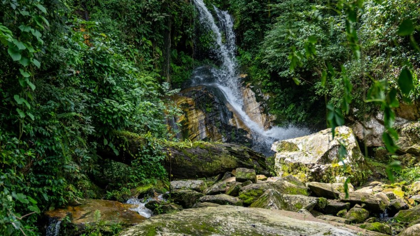 water falls in the middle of the forest bAqih12