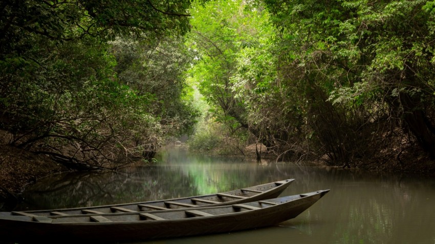 brown wooden boat on river during daytime yFR2FP8SE