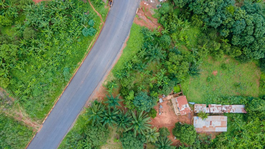 an aerial view of a house in the middle of a forest