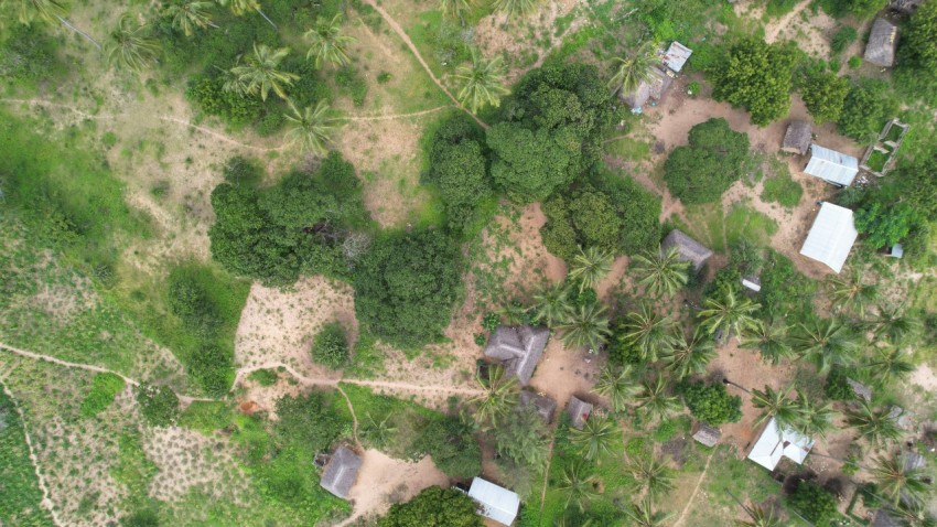 an aerial view of a small village surrounded by trees