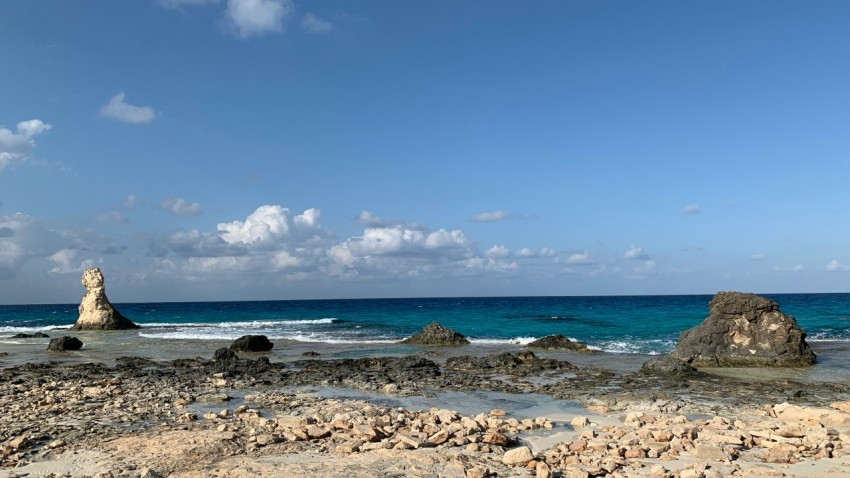 a rocky beach with a large body of water in the background