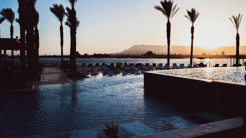 a pool with palm trees and a beach in the background