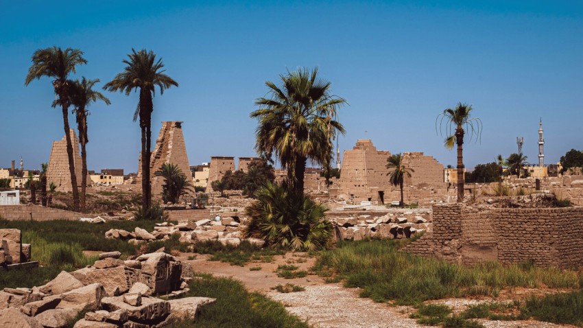 a stone wall with palm trees and a stone wall with buildings in the background