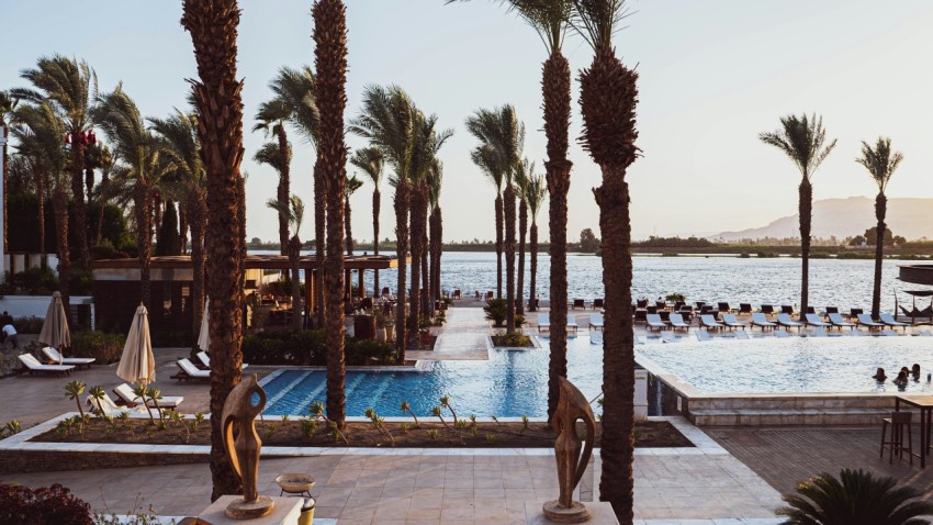 a pool with palm trees and a beach in the background