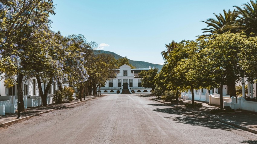 a street lined with trees and a white house