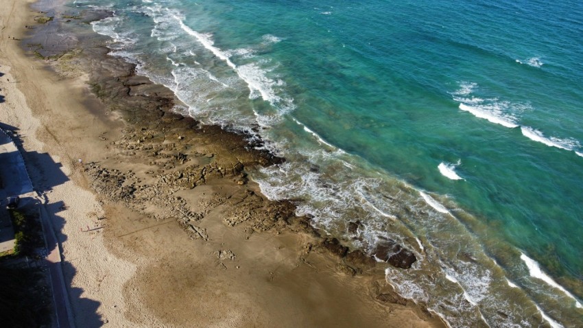 an aerial view of a beach and the ocean