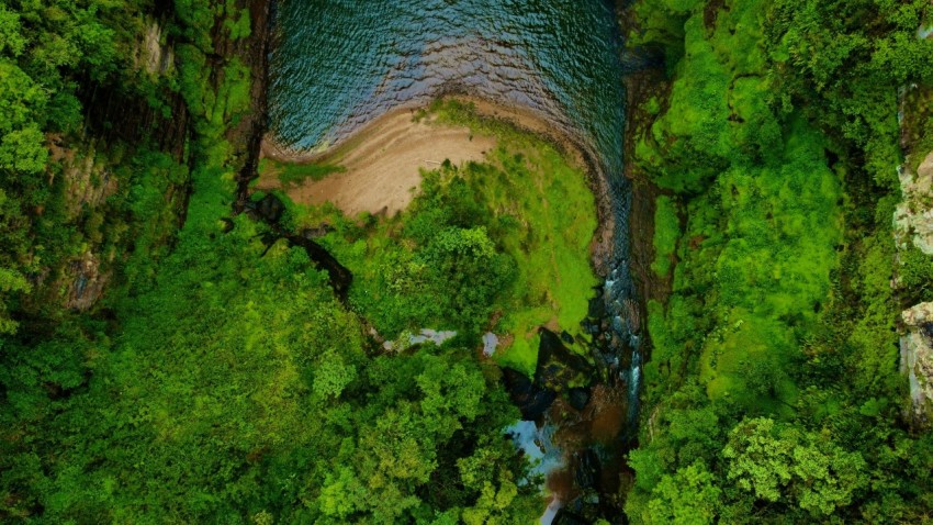 a river running through a lush green forest