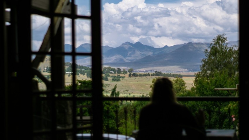 a person sitting at a table looking out a window