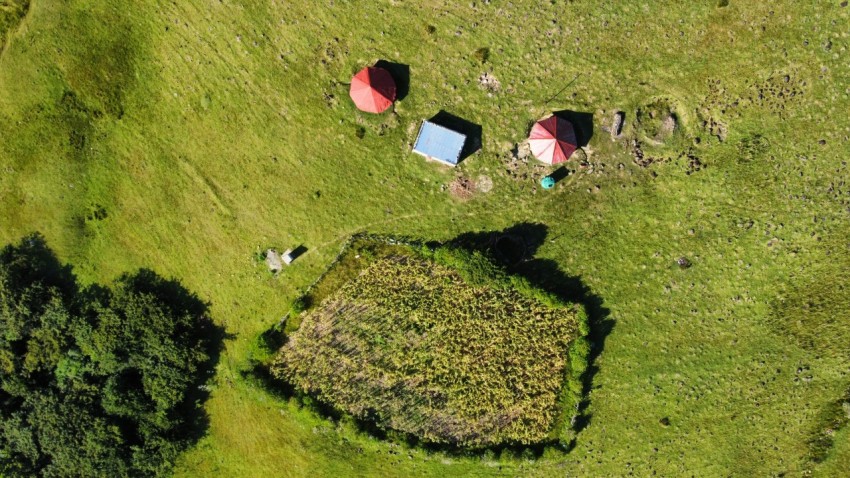 red and white tent on green grass field