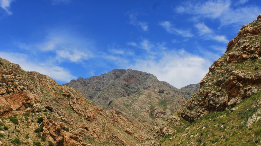 a view of a mountain range from the bottom of a hill