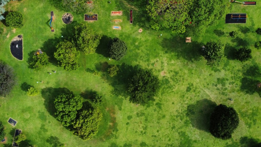 aerial view of green grass field