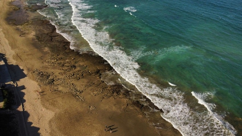 an aerial view of a beach and the ocean