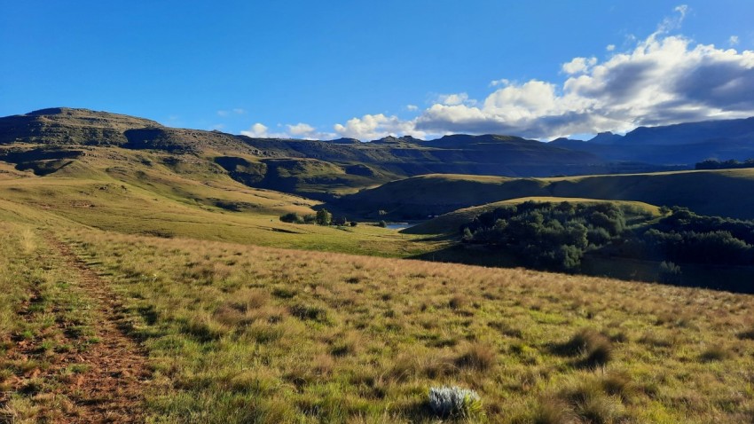 a grassy field with mountains in the background N