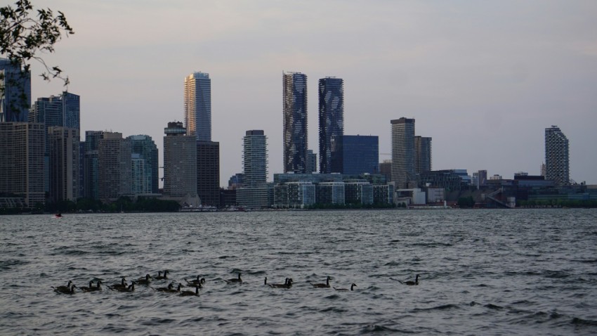 a large body of water with a city in the background