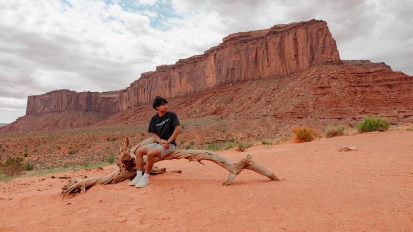 a man sitting on a tree branch in the desert