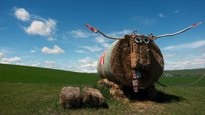 a large animal with horns and horns sitting in a field