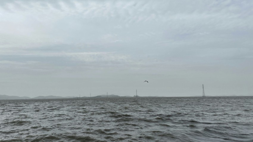 a large body of water with a bridge in the distance