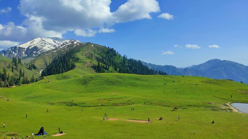 a group of people standing on top of a lush green hillside